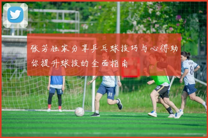 张芳独家分享乒乓球技巧与心得助你提升球技的全面指南