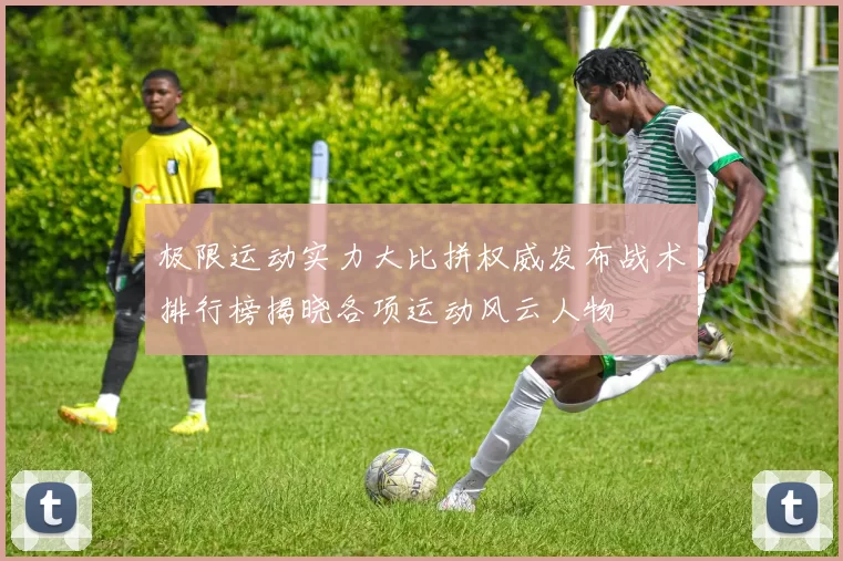 极限运动实力大比拼权威发布战术排行榜揭晓各项运动风云人物