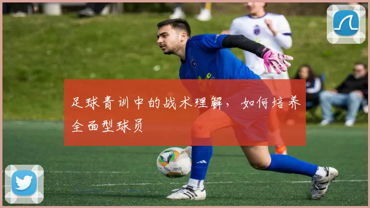 足球青训中的战术理解，如何培养全面型球员