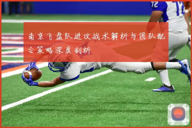 南京飞盘队进攻战术解析与团队配合策略深度剖析