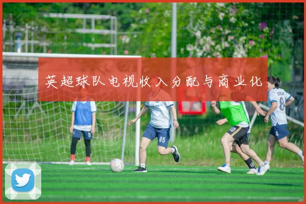 英超球队电视收入分配与商业化