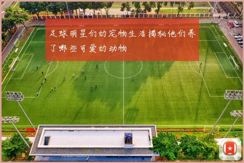 足球明星们的宠物生活揭秘他们养了哪些可爱的动物