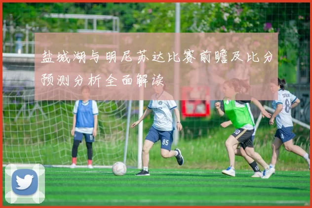 盐城湖与明尼苏达比赛前瞻及比分预测分析全面解读