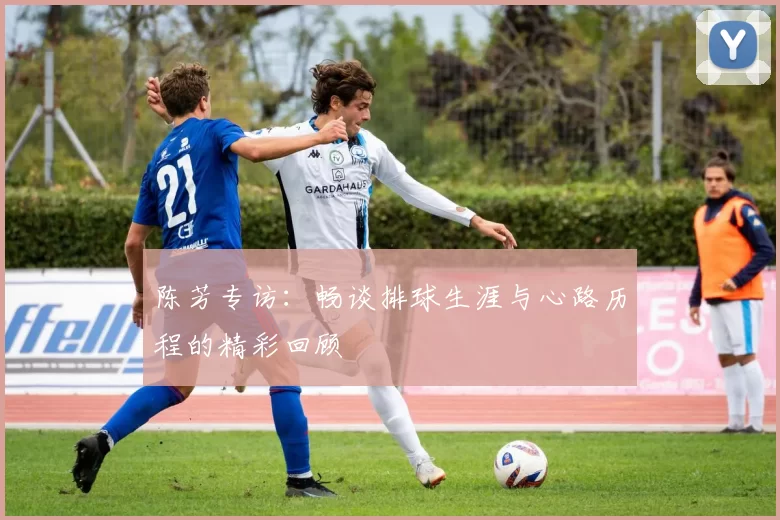 陈芳专访：畅谈排球生涯与心路历程的精彩回顾