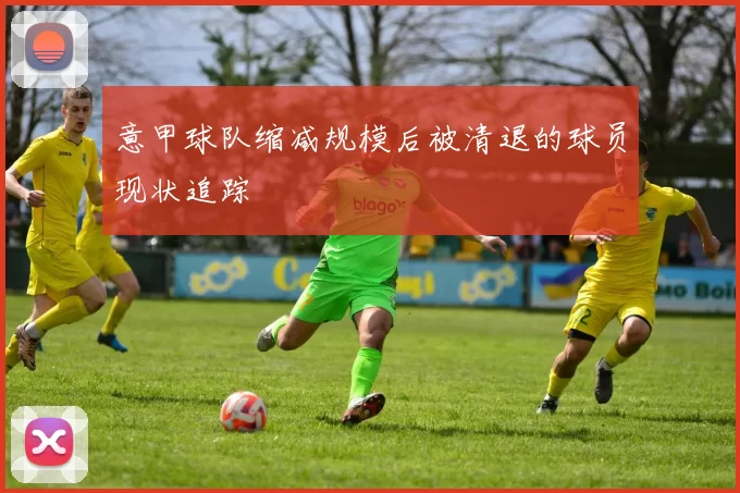 意甲球队缩减规模后被清退的球员现状追踪