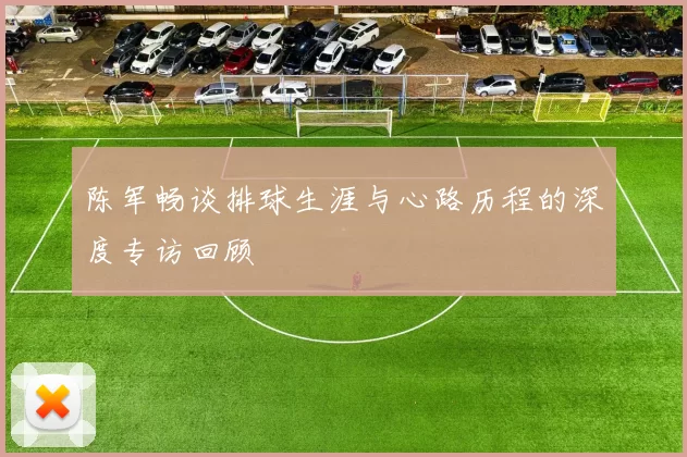 陈军畅谈排球生涯与心路历程的深度专访回顾