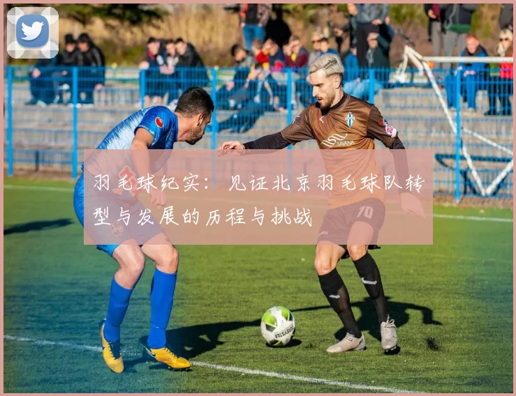 羽毛球纪实：见证北京羽毛球队转型与发展的历程与挑战