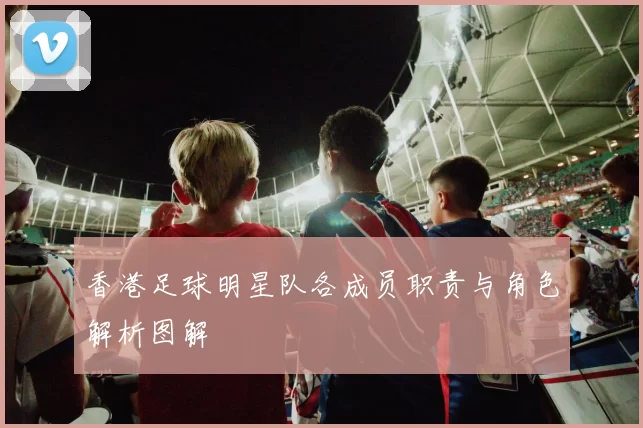 香港足球明星队各成员职责与角色解析图解