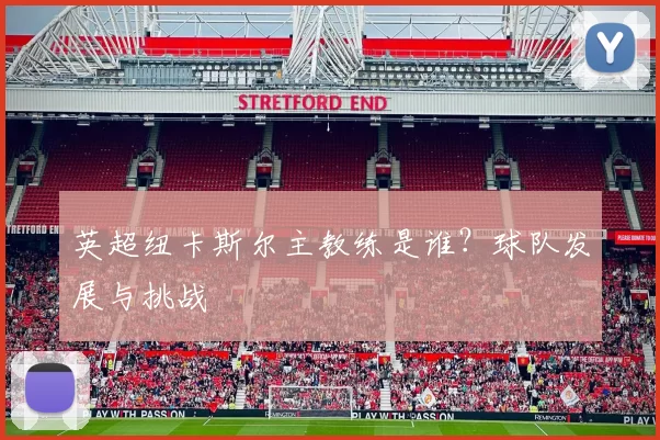 英超纽卡斯尔主教练是谁？球队发展与挑战