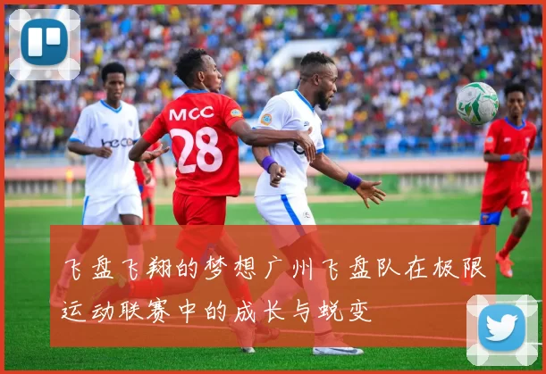 飞盘飞翔的梦想广州飞盘队在极限运动联赛中的成长与蜕变