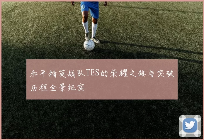 和平精英战队TES的荣耀之路与突破历程全景纪实