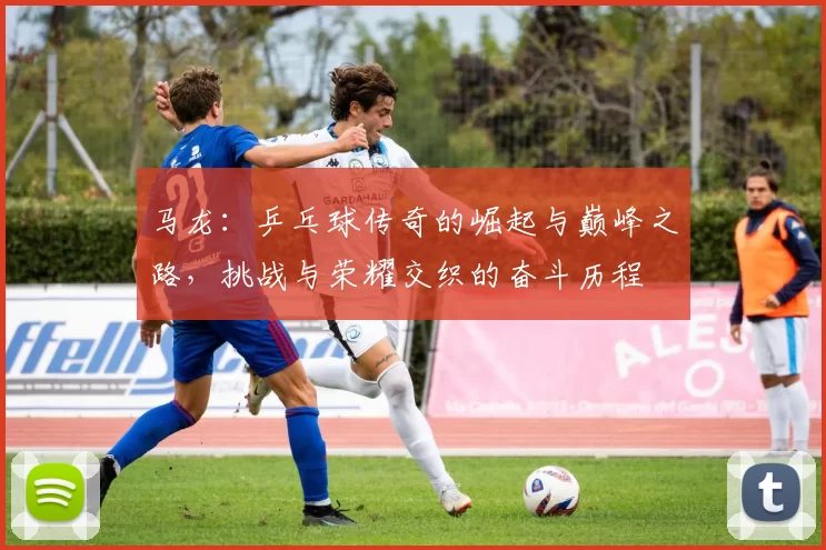 马龙：乒乓球传奇的崛起与巅峰之路，挑战与荣耀交织的奋斗历程