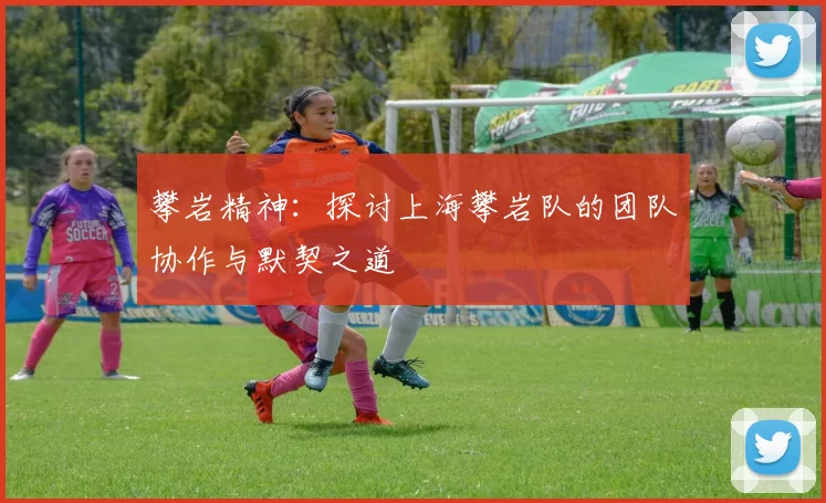 攀岩精神：探讨上海攀岩队的团队协作与默契之道