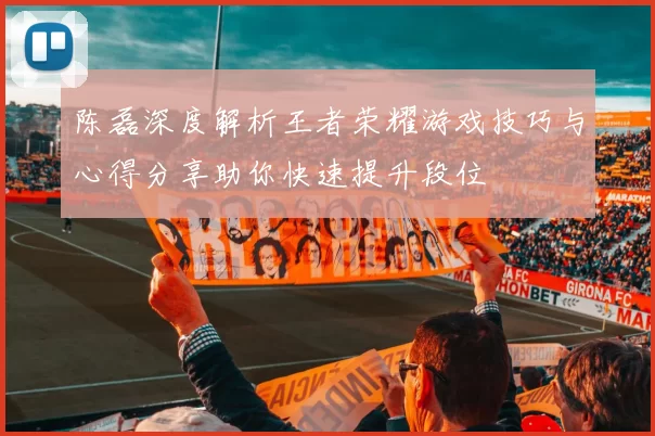 陈磊深度解析王者荣耀游戏技巧与心得分享助你快速提升段位
