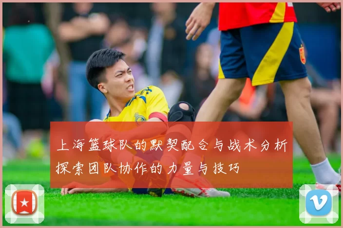 上海篮球队的默契配合与战术分析探索团队协作的力量与技巧