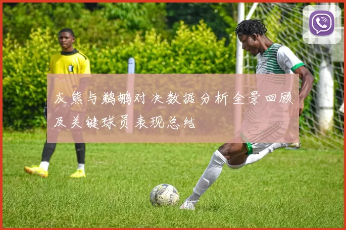 灰熊与鹈鹕对决数据分析全景回顾及关键球员表现总结